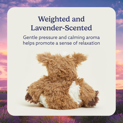 Junior Microwavable & Weighted Stuffed Animals, Cow - Heated Stuffed Animal Plushie for Warmth & Comfort - Cute Soft Plush Toys for Adults & Children (Boys, Girls, Babies & Toddlers)